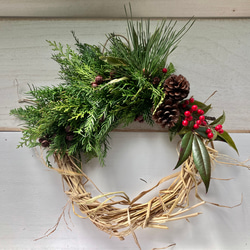 0bfab27109c90af06a05aea9abcd23