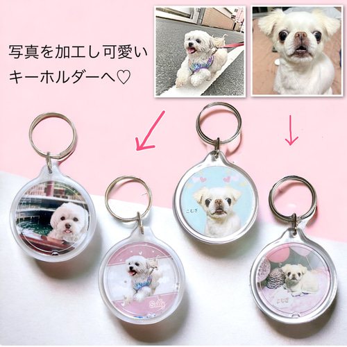 犬 猫 ペット チワワ キーホルダー 写真/名前入り オーダー