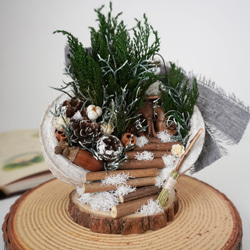 幸せを呼ぶ実ブッダナッツ〝森のおはなし〟雪降る森 1枚目の画像