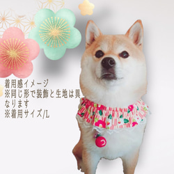 梅桜・和柄ポンポンが可愛いワンコシュシュスタイ/中型犬柴犬 5枚目の画像