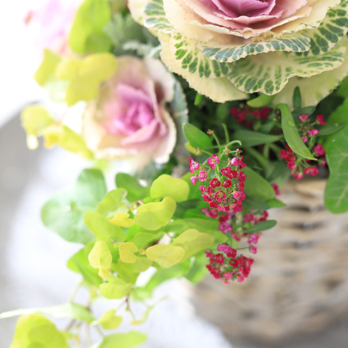 季節の寄せ植え　葉牡丹　キャスケード型 迎春♪葉牡丹のギャザリング寄せ植え♪バスケット スワッグ 木の実と