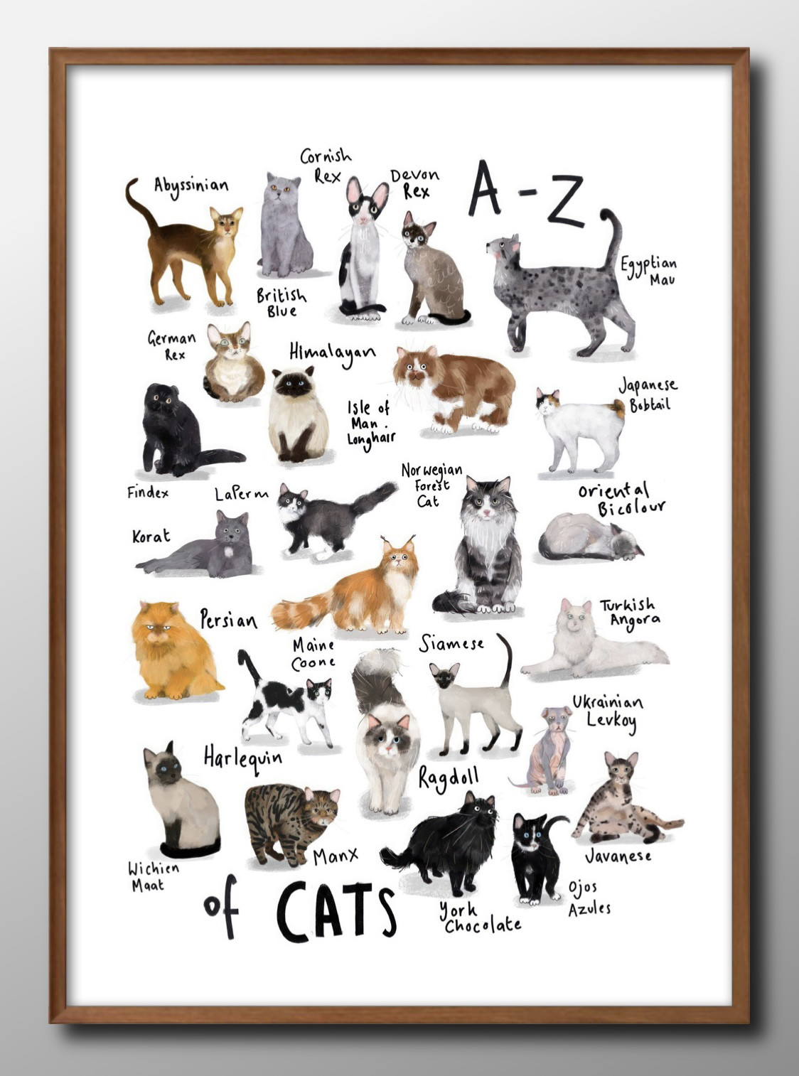 14462□アートポスター 絵画 A3サイズ『猫 図鑑 ネコ CAT