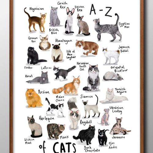 14462□アートポスター 絵画 A3サイズ『猫 図鑑 ネコ CAT