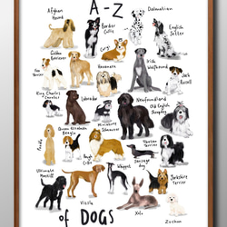 絵　犬 14459□アートポスター 絵画 A3サイズ『犬 図鑑 イヌ DOG』イラスト
