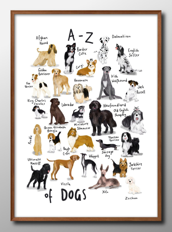90s vintage 犬の系統図 ポスター the dog 当時物 動物