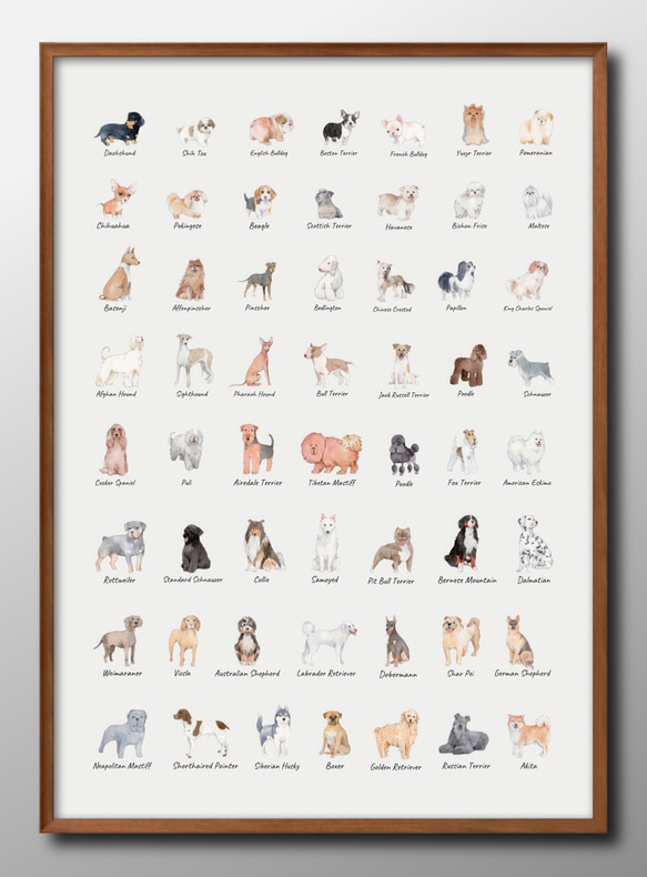 14460□アートポスター 絵画 A3サイズ『犬 図鑑 イヌ DOG