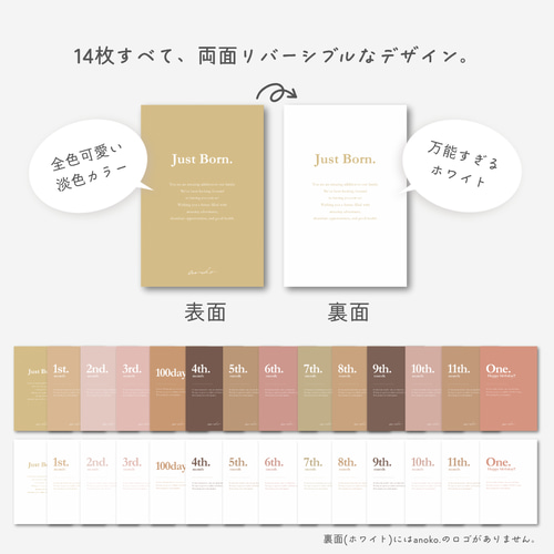 月齢カード】マンスリーカード両面印刷14枚セット / anoko. original