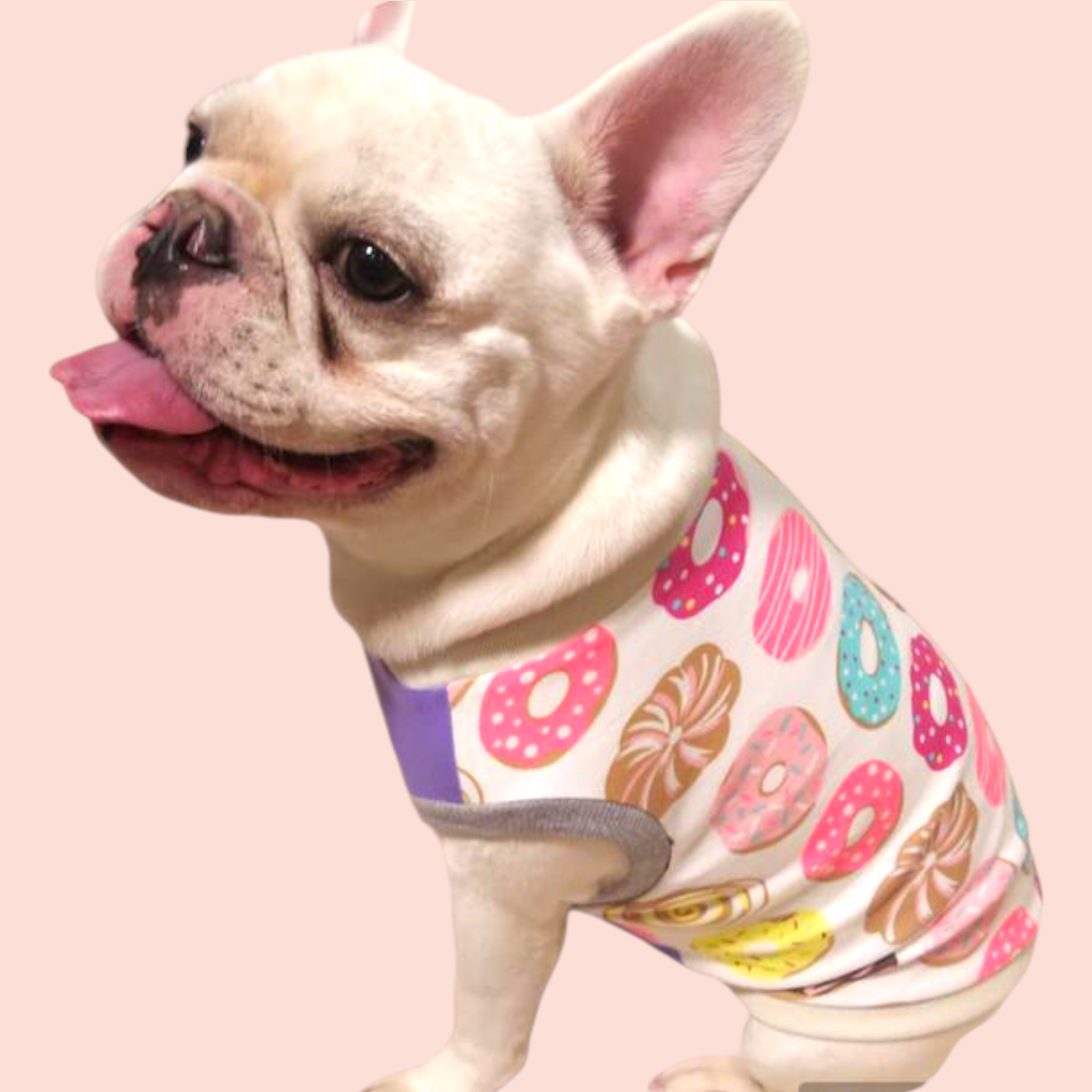 専用●犬服●ハンドメイド 胴57 NO.537 フレブル パグ 専用○犬服○ハンドメイド 胴57 NO.537 フレブル パグ