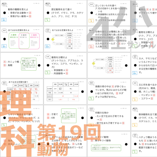 中学受験 暗記カード【4年上 理科 全セット 1-19回】 組分け