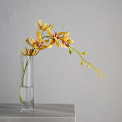 （水換え不要）シンビジュームの小瓶挿し 3枚目の画像