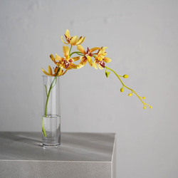 （水換え不要）シンビジュームの小瓶挿し 1枚目の画像