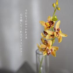 （水換え不要）シンビジュームの小瓶挿し 4枚目の画像