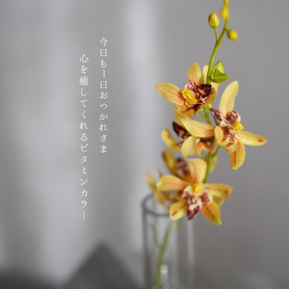 （水換え不要）シンビジュームの小瓶挿し 4枚目の画像