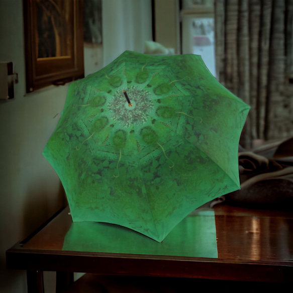 【受注生産】Green mist 1 の雨傘　 6枚目の画像