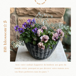 ◇1周年記念セール開催中◇季節の寄せ植え サトウ園芸「ヌーヴェル