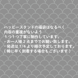 【福袋】ハッピースタンド！オリジナル福袋♪福福セット(アクリルパーツ＋ペーパーフレーク) 3枚目の画像