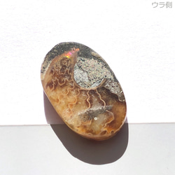 アンモナイト[119] 24x16mm 18Cts　天然石 ／ ルース ／カボション 2枚目の画像