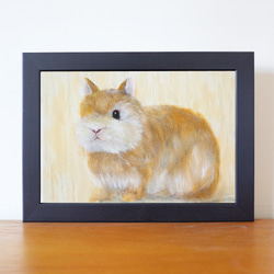 毛茸茸兔 油畫 F1號 含框尺寸約26*19cm 第1張的照片