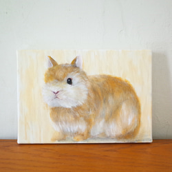 毛茸茸兔 油畫 F1號 含框尺寸約26*19cm 第2張的照片