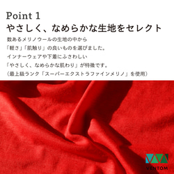 【新作】メリノウール　タンガ  下着 天然素材 日本製　ショーツ 4枚目の画像