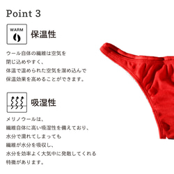 【新作】メリノウール　タンガ  下着 天然素材 日本製　ショーツ 7枚目の画像