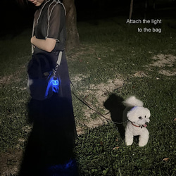 36種類の犬シルエット 光る迷子札 光るキーホルダー 名入れ無料 USB充電式 13枚目の画像