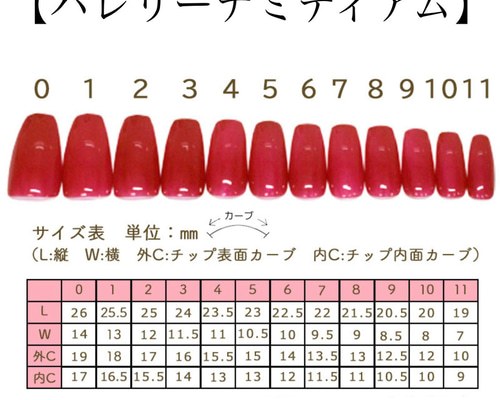 チップサイズ表♡サイズオーダー方法 ネイルチップ（つけ爪） Sparkle