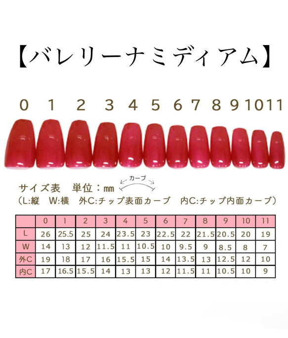 チップサイズ表♡サイズオーダー方法 ネイルチップ（つけ爪） Sparkle