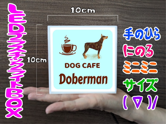 【名入れ】ドッグカフェ チワワ 犬 いぬ イヌ 店舗 自宅 ミニチュア ランプ 照明 看板 置物 雑貨 ライトBOX 5枚目の画像