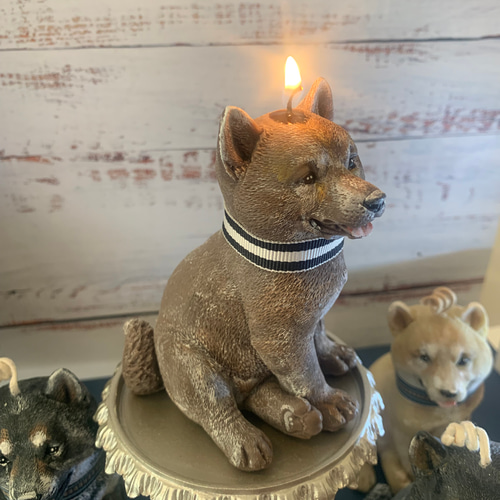 豆柴 柴犬 キャンドル ソイキャンドル 黒柴ちゃん 赤柴ちゃん シバ