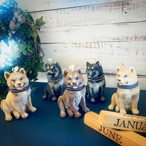 柴犬灯ろう B型 キャンドル型LED付 LUMINARA（ルミナラ） ｜ LED