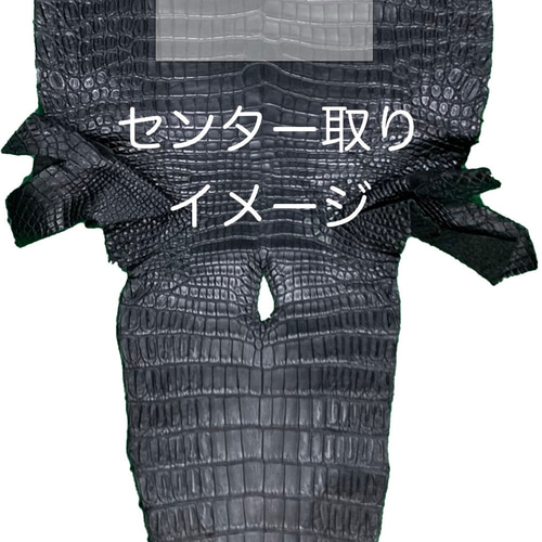 日本製 上質 スモールクロコダイル(プロサス） ロングウォレット