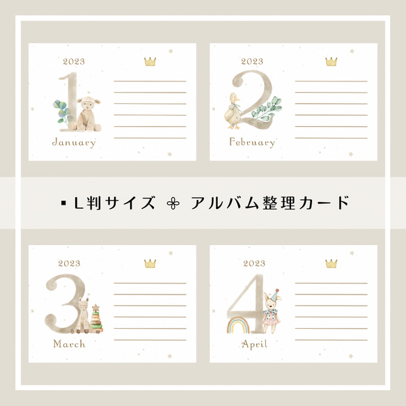 送料無料】アルバム整理：A type アルバム L判 写真整理 フォト 