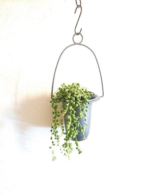 ●数量限定●新作●　緑の鈴　”グリーンネックレス　シャビーシック・ハンギング鉢カバーセット"　観葉植物　壁掛け　吊るす 1枚目の画像