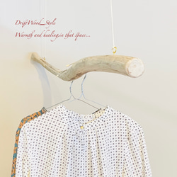 流木インテリア 緩やかな曲線を描く大型流木のハンガーラック 北欧 衣装掛け ハンギング 吊り下げ ハンガーポール N5 3枚目の画像