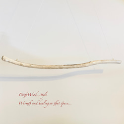 流木インテリア 緩やかな曲線を描く大型流木のハンガーラック 北欧 衣装掛け ハンギング 吊り下げ ハンガーポール N5 7枚目の画像