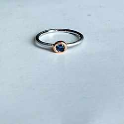 希少 ミステリアスなベキリーブルーガーネット K18 Pt900 リング《受注