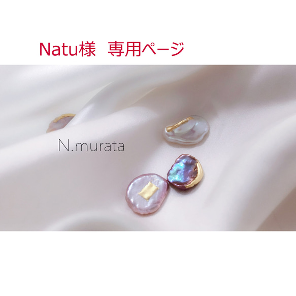 Natu様 専用ページ（メンテナンス） 1枚目の画像