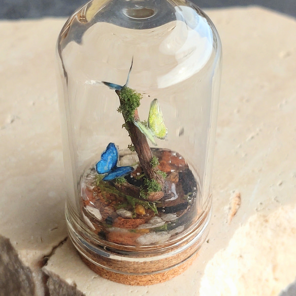 ジオラマ】水辺の蝶 01【ガラスドーム】 立体・オブジェ folie plant