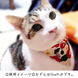 猫&小型犬用バンダナ/和柄③ n-0144シリーズ 4枚目の画像