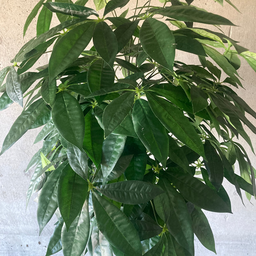 光触媒 人工観葉植物 ウォールグリーン フェイクグリーン パキラ15767 
