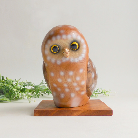 森に佇むフクロウ (★台付き)  flying owl / wood bird 1枚目の画像