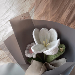 鬱金香與小雛菊花束 Tulip & Daisy 第4張的照片