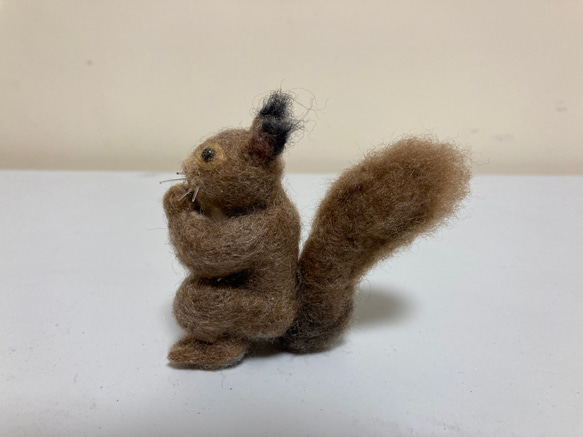 羊毛フェルト エゾリス 羊毛フェルト kanken 通販 17053628