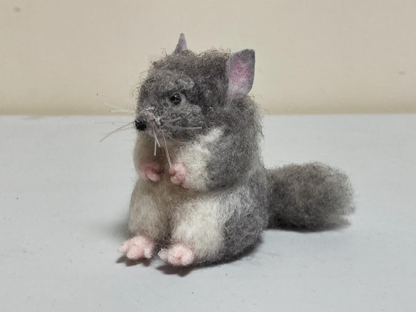 羊毛フェルト　チンチラ 羊毛フェルト チンチラ 羊毛フェルト kanken 通販 17053666｜Creema