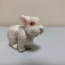 羊毛フェルト　白ウサギ 6枚目の画像