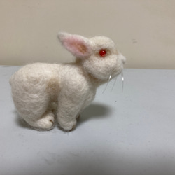 羊毛フェルト　白ウサギ 5枚目の画像