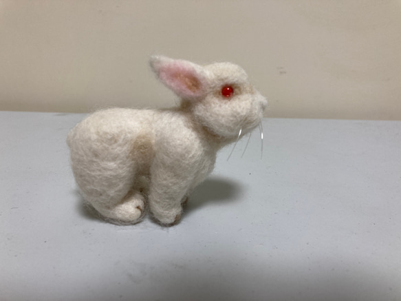 羊毛フェルト　白ウサギ 5枚目の画像