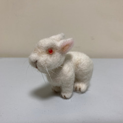 羊毛フェルト チンチラ 羊毛フェルト kanken 通販 17053666｜Creema