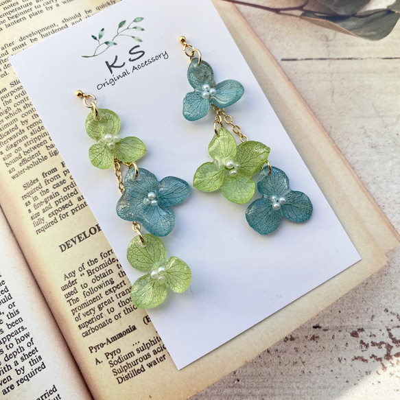 ピアスorイヤリング】 揺れる本物の紫陽花ピアス 2way グリーン 緑 黄 